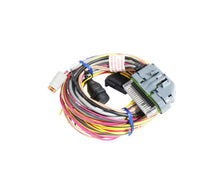 Load image into Gallery viewer, AEM AQ-1 96&quot; Flying Lead Wiring Harness