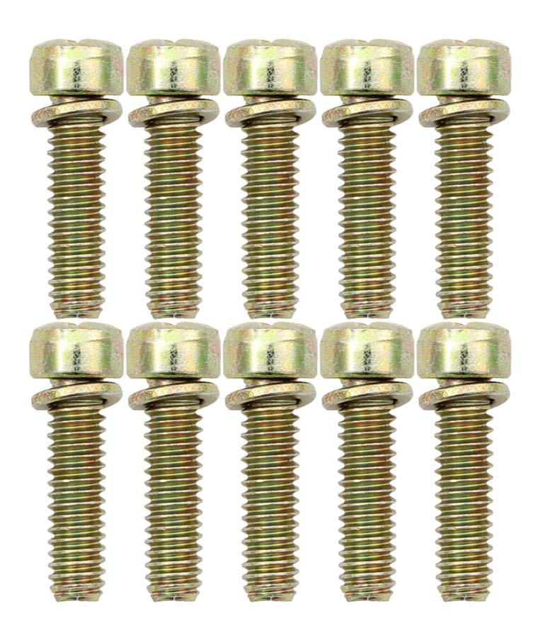 Throttle Body Screws (10pk)