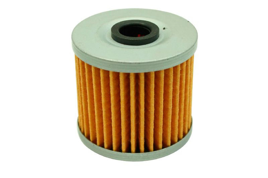 AEM High Volume Fuel Filter Replacement Element for 25-200BK