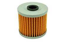 Load image into Gallery viewer, AEM High Volume Fuel Filter Replacement Element for 25-200BK