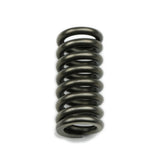 Reverse Servo Spring