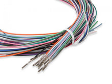 Load image into Gallery viewer, Holley EFI Pro-Dash Input/Output Harness