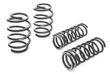 Load image into Gallery viewer, Pro Kit Mustang Set of 4 Springs