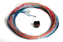 Load image into Gallery viewer, Holley EFI Dominator EFI Auxiliary Harness