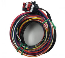 Load image into Gallery viewer, Racepak Drag Smartwire Wire Harness