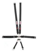 Load image into Gallery viewer, Harness Camlock Black 6pt