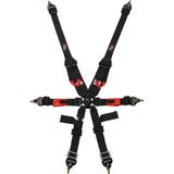 6pt Harness Camlock Indiv Black Euro FIA