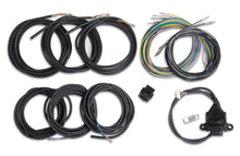 Load image into Gallery viewer, Wiring Harness - EFI Digital Dash I/O Adapter