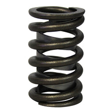 Load image into Gallery viewer, 1.485 Valve Spring Set Single w/Damper
