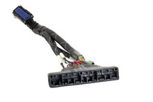 Load image into Gallery viewer, AEM Infinity 506/508 Honda S2000 Plug &amp; Play Jumper Harness