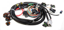 Load image into Gallery viewer, Holley EFI TPI/Stealth Ram Main Harness