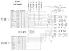 Load image into Gallery viewer, Holley EFI Universal MPFI Main Harness