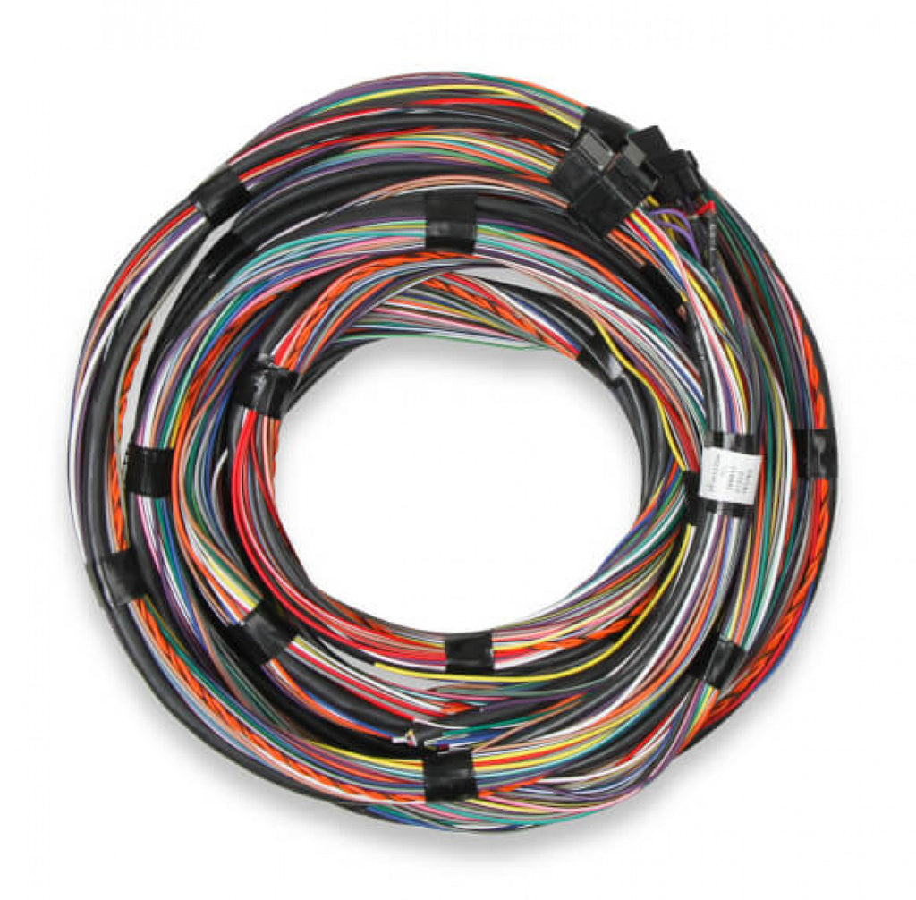 Holley EFI Unterminated 15' Flying Lead Main Harness