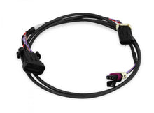 Load image into Gallery viewer, Holley EFI Crank/Cam Ign. Harness. Fully terminated harness.