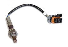 Load image into Gallery viewer, Holley EFI NTK Wideband Oxygen Sensor