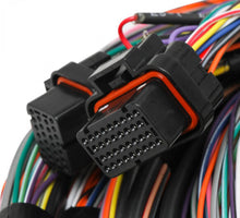 Load image into Gallery viewer, Holley EFI Unterminated 15&#39; Flying Lead Main Harness