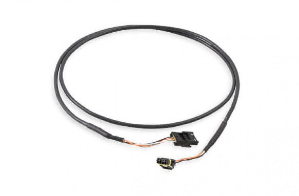 Holley EFI CAN Adapter Harness, 4'