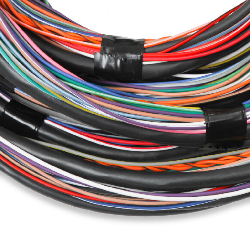 Holley EFI Unterminated 15' Flying Lead Main Harness