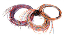 Load image into Gallery viewer, Holley EFI Dominator EFI Auxiliary Harness