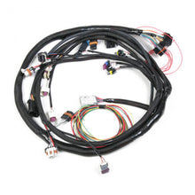 Load image into Gallery viewer, Holley EFI LS2/3/7  (58x/4x) Engine Main Harness