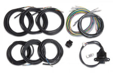 Load image into Gallery viewer, Holley EFI Digital Dash I/O Adapter w/Unterminated Vehicle Harness